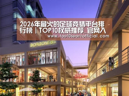 案例展示一(图1)